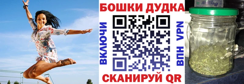 Бошки Шишки план  Сегежа 